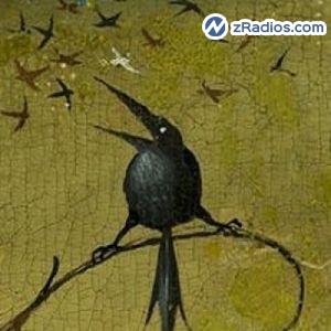 Radio: Radio Mirlo