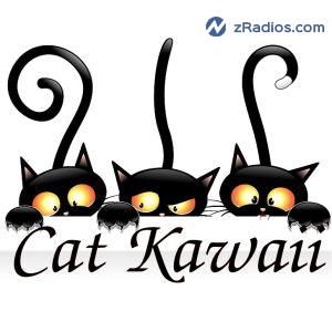 Radio: Radio Cat kawaii